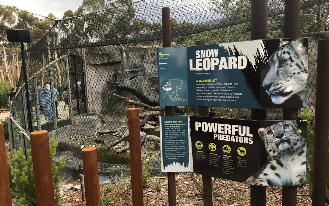 Melbourne Zoo – Carnivore Trail