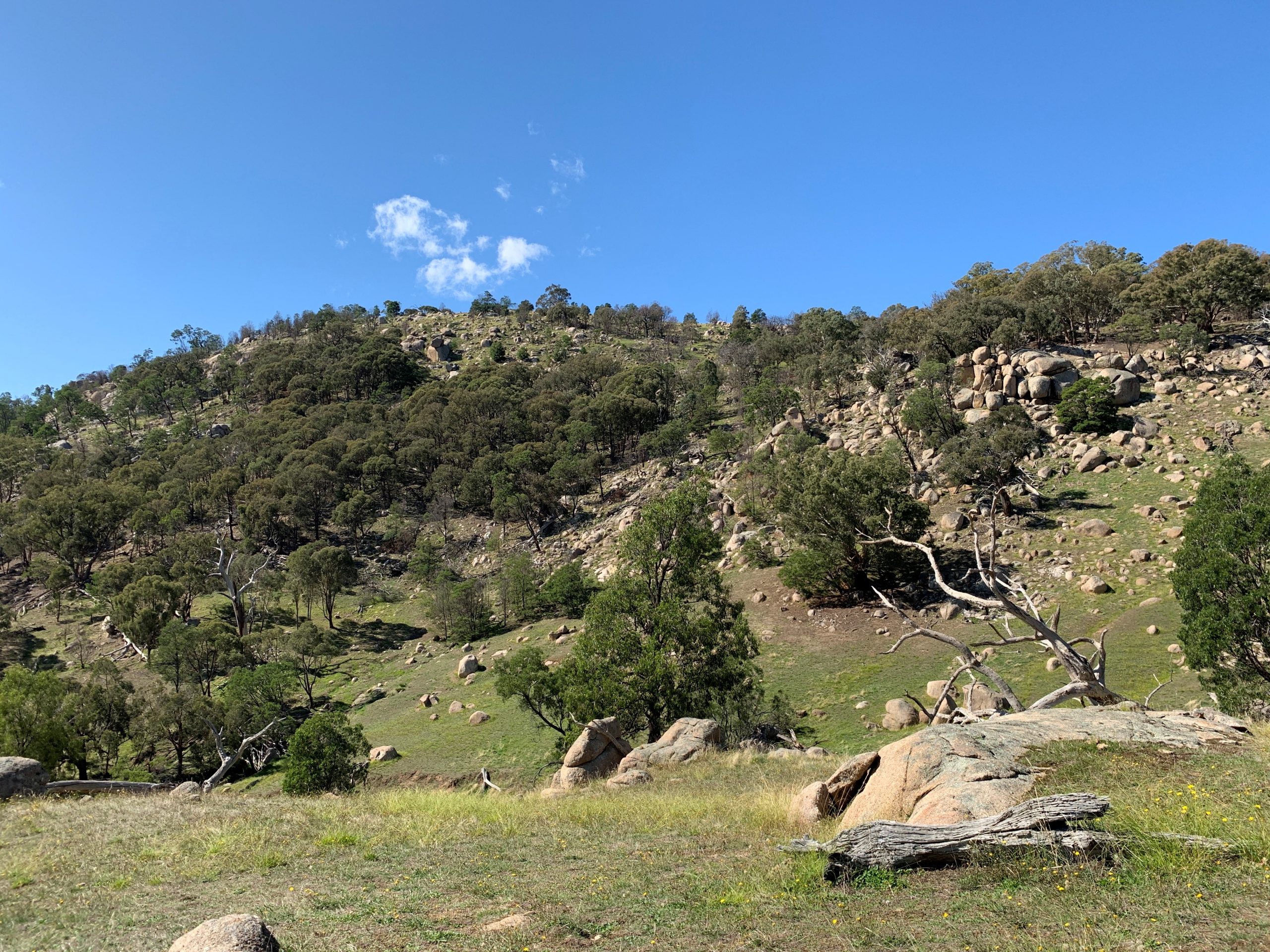 Living Building Challenge, Avenel Accuraco