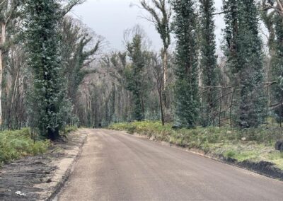 Parks Victoria – Mount Buangor State Park